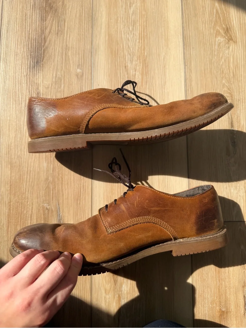 Timberland classic brown
